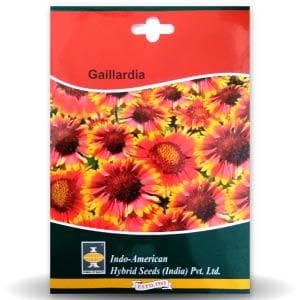 GAILLARDIA product  Image 1