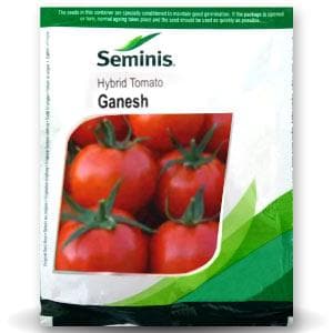 GANESH TOMATO (गणेश टमाटर ) product  Image