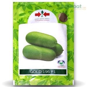 GOLD-195 WAX GOURD product  Image 1