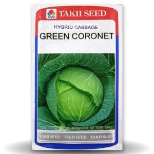 GREEN CORONET CABBAGE F1 product  Image