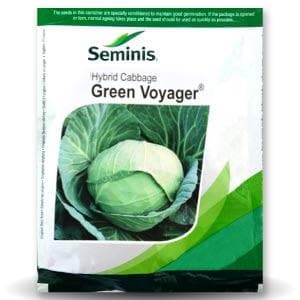 GREEN VOYAGER CABBAGE product  Image