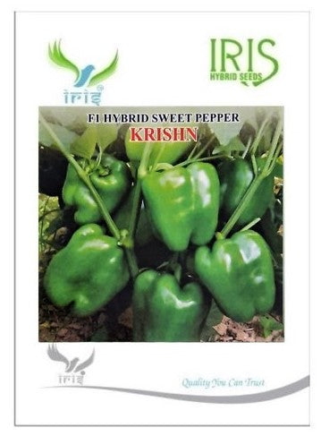 IRIS HYBRID GREEN CAPSICUM - KRISHN product  Image 1