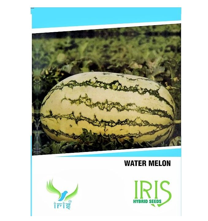 IRIS HYBRID FRUIT SEEDS WATERMELON product  Image 2