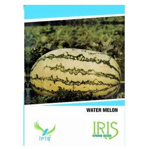 IRIS HYBRID FRUIT SEEDS WATERMELON product  Image