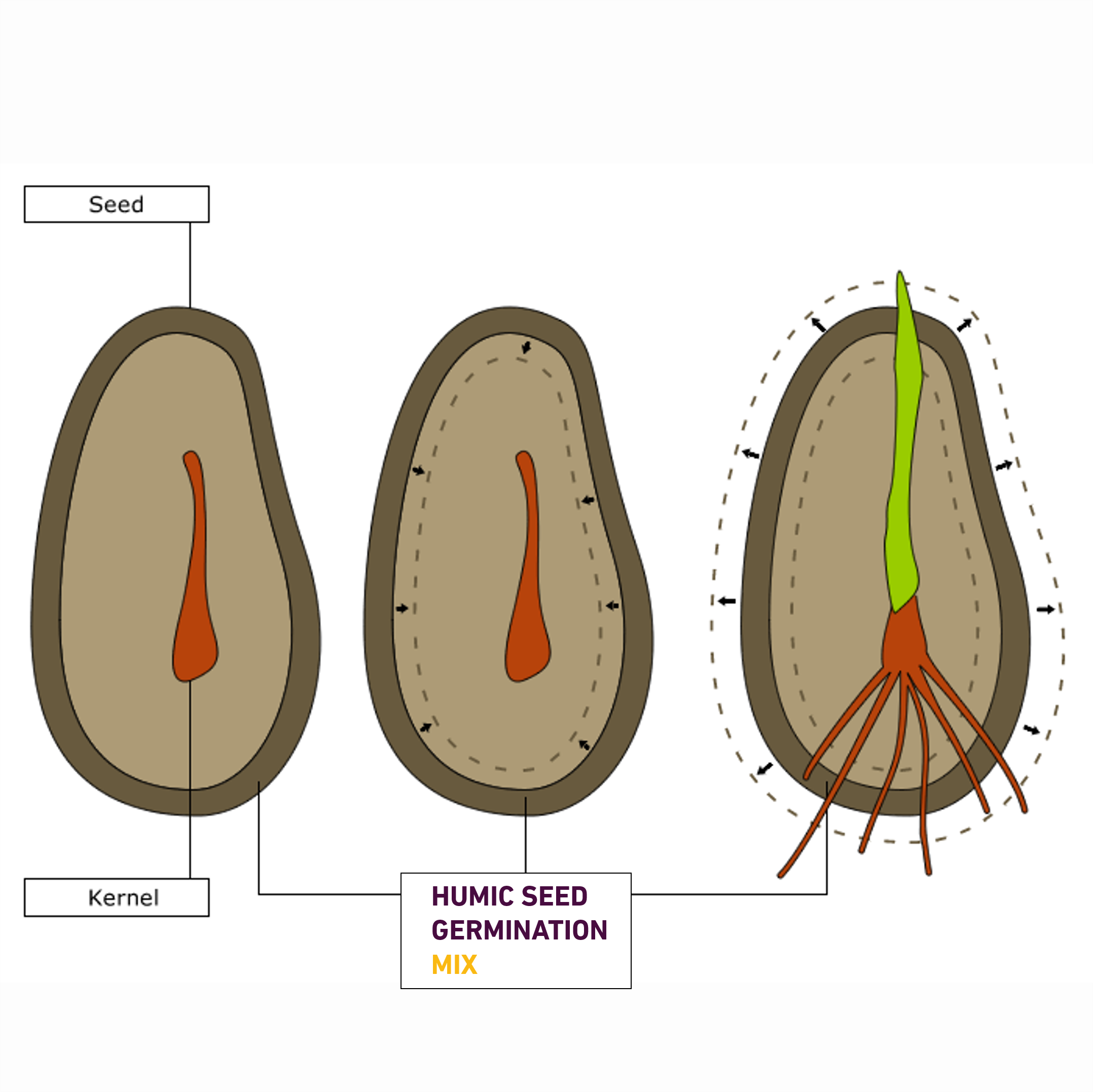 HUMIC SEED GERMINATION SPRAY FOR HOME GARDEN product  Image 2