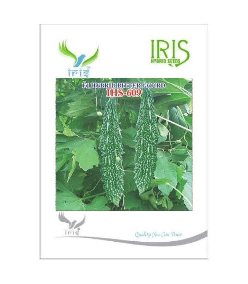 IRIS HYBRID VEGETABLE SEEDS F1 HYBRID BITTER GOURD IHS-609 product  Image 2