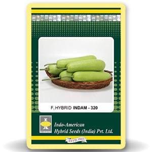 INDAM BOTTLE GOURD ( लौकी ) product  Image