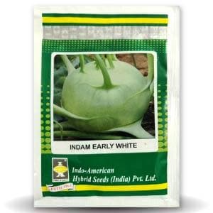 INDAM EARLY WHITE KNOL KHOL SEEDS product  Image 1