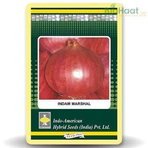 MARSHAL ONION product  Image 1