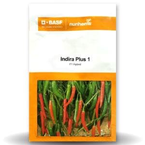 INDIRA PLUS 1 CHILLI product  Image 1