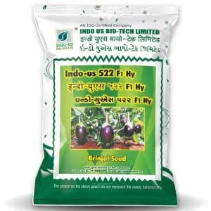 522 F1 HYBRID BRINJAL product  Image