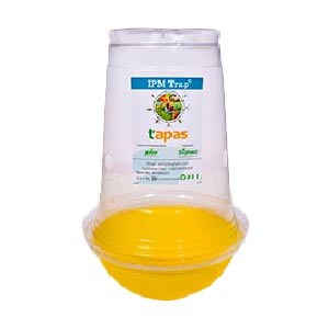 TAPAS FRUIT FLY TRAP IPM TRAP product  Image 1