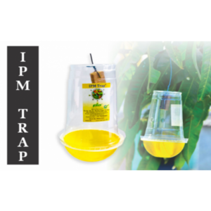 TAPAS FRUIT FLY TRAP IPM TRAP product  Image 2