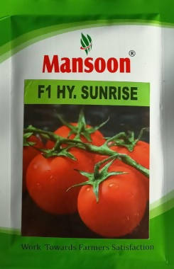 MANSOON F1 HY. SUNRISE TOMATO SEEDS product  Image 2