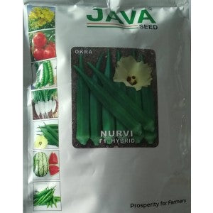 JAVA OKRA NURVI F1 HYBRID SEEDS product  Image 1