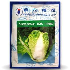 JAYA CHINESE CABBAGE product  Image 1