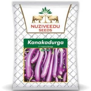 KANAKADURGA BRINJAL product  Image 1