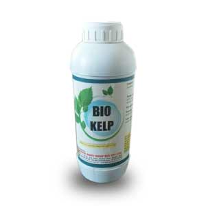 SUN BIO KELP (GROWTH PROMOTER AUSTRALIAN SEAWEED EXTRACT) product  Image 1