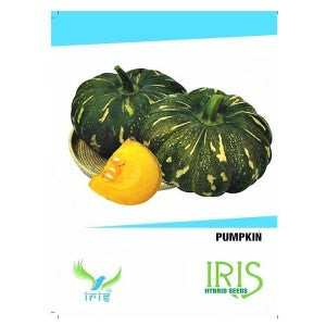 IRIS HYBRID PUMPKIN SEEDS product  Image 1