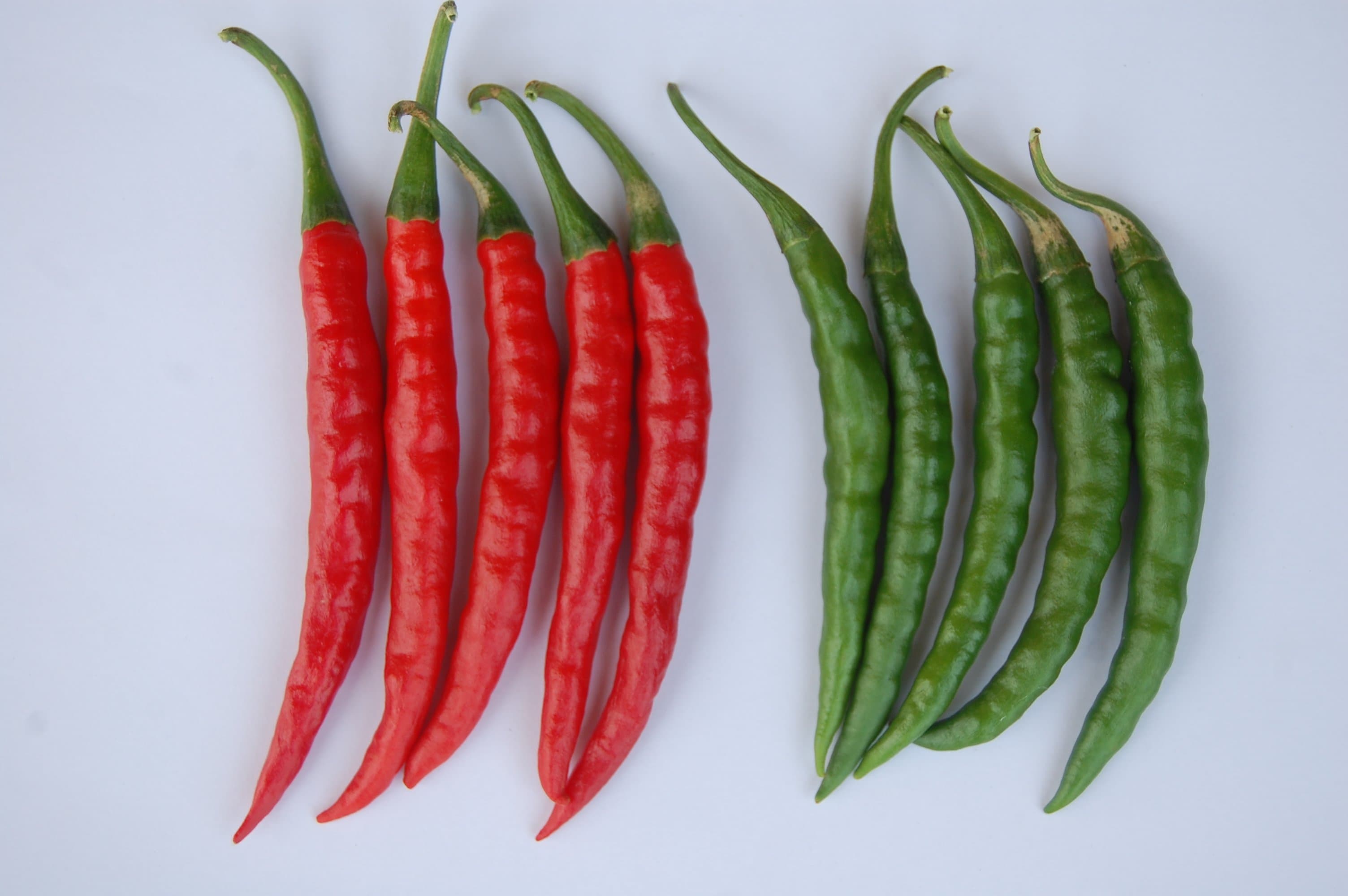 LEADBETER HYBRID CHILLI LCH-99 product  Image 2