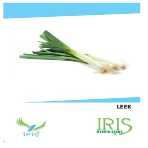 IRIS HYBRID VEGETABLE SEEDS LEEK product  Image 1