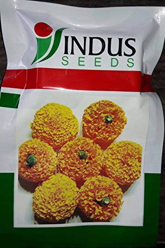 INDUS MARIGOLD PUSHPARAJ ORANGE SEEDS product  Image 2