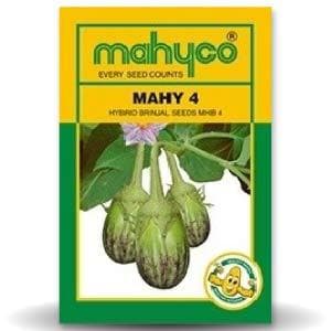 MAHY 4 MHB-4 BRINJAL product  Image 1