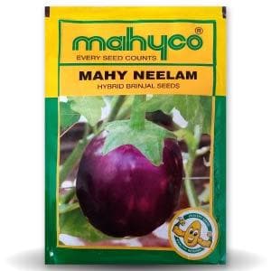 MAHY NEELAM BRINJAL product  Image