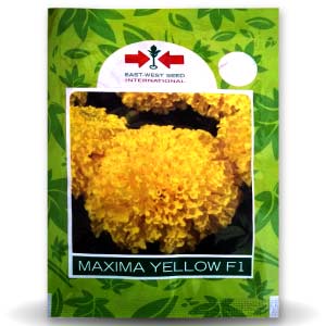 MAXIMA YELLOW MARIGOLD product  Image 1