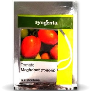 TO-2048 (MEGHDOOT) TOMATO product  Image 1