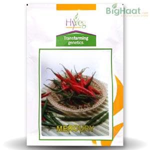 MERCURY CHILLI product  Image 1