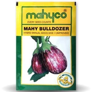 MHB 11 BULLDOZER BRINJAL product  Image 1