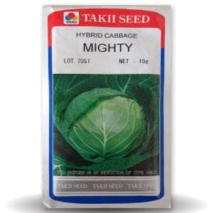 MIGHTY CABBAGE F1 product  Image 1