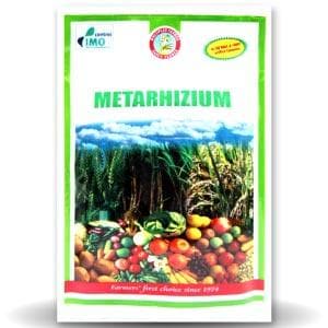Metarhizium Bio Insecticide product  Image