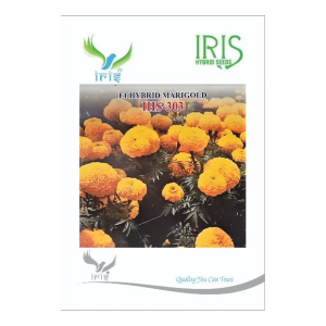 IRIS HYBRID FLOWER SEEDS F1 HYBRID MARIGOLD YELLOW IHS-303 product  Image 1