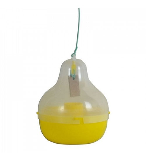 TAPAS FRUIT FLY TRAP - MAXPLUS product  Image