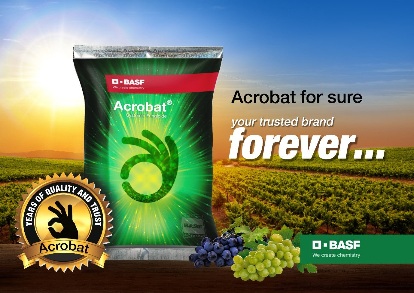 ACROBAT FUNGICIDE product  Image 2