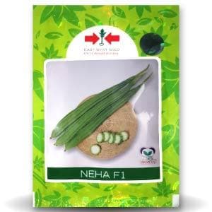 NEHA 196 F1 RIDGE GOURD (नेहा 196 एफ 1 तुरई ) product  Image