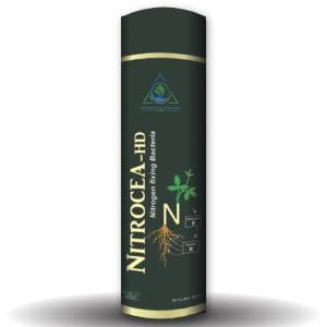 NITROCEA - HD (NITROGEN FIXING BACTERIAL BIO-FERTILIZER) product  Image 1