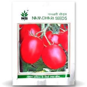 NS 1068 TOMATO ( एनएस 1068 टमाटर ) product  Image 1