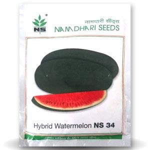 NS 34 WATERMELON SEEDS product  Image