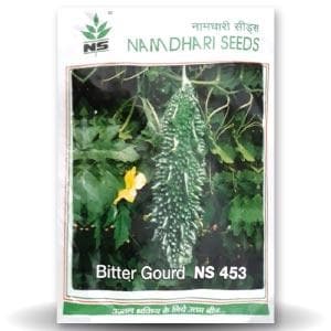 NS 453 BITTER GOURD ( एन एस 453 करेला ) product  Image 1