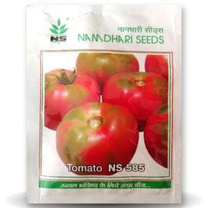 NS 585 TOMATO SEEDS ( एनएस 585 टमाटर ) product  Image