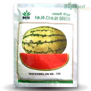 NS 750 WATERMELON product  Image 1