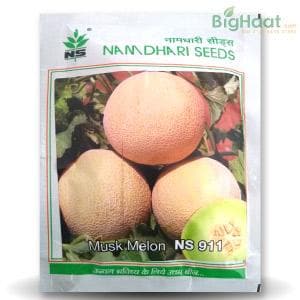 NS 911 (GH 11) MUSKMELON product  Image 1