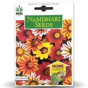 NS GAZANIA SUNSHINE MIX product  Image