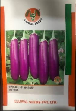 UJJWAL BRINJAL US 1004 F1 SEEDS product  Image