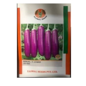 UJJWAL BRINJAL US 1004 F1 SEEDS product  Image 1