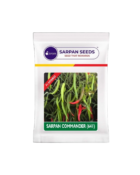 SARPAN COMMANDER(641) CHILLI SEEDS product  Image 1