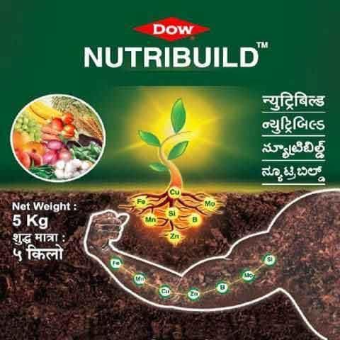 DOW NUTRIBUILD Fe EDDHA 6% ( Chelate) - 250 gm product  Image 1